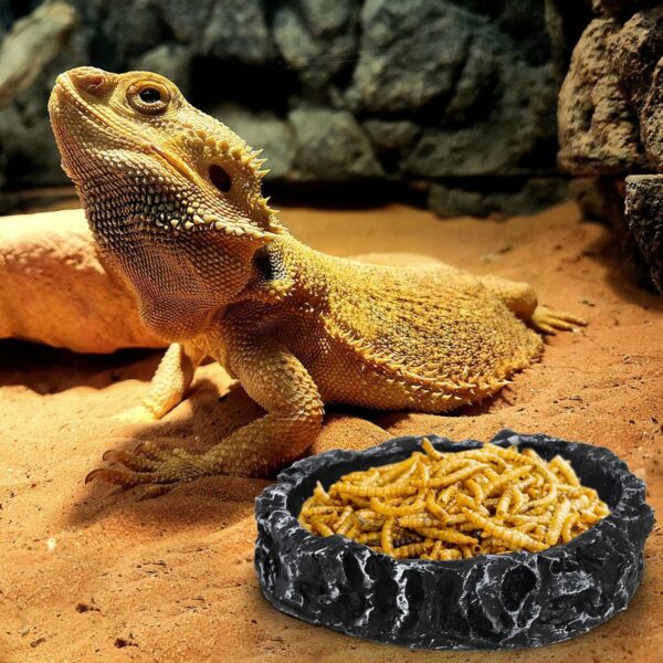 Frcctre 4 Pack Reptile Food Dish Bowl, Reptile Feeding Dish Water Bowl, Amphibian Reptile Breadworm Feeding Terrarium Bowl for Leopard Gecko Lizard Tortoise Frog Bearded Dragon Chameleon - Image 5