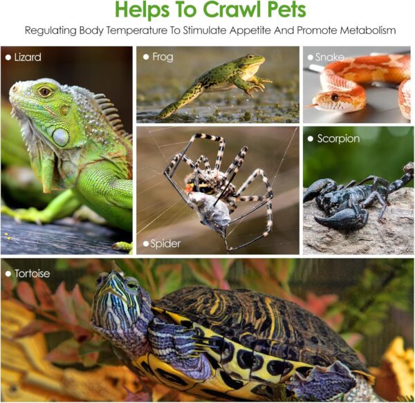 8x12inch Reptile Heat Mat with Digital Thermostat,23W Terrarium Heat Mat with IPX7 Waterproof for Gecko/Bearded Dragon/Snake/Lizard/Hermit Crab/Frog/Spider/Insect Breeding/Plant Box,Habistat Heat Mat - Image 7