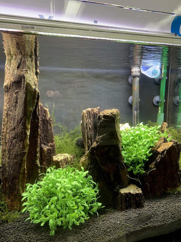 BEGONDIS Aquarium Decorations Fish Tank Artificial Green Water Plants Made of Soft Plastic, Good for All Fish & Pets (g5) - Image 2