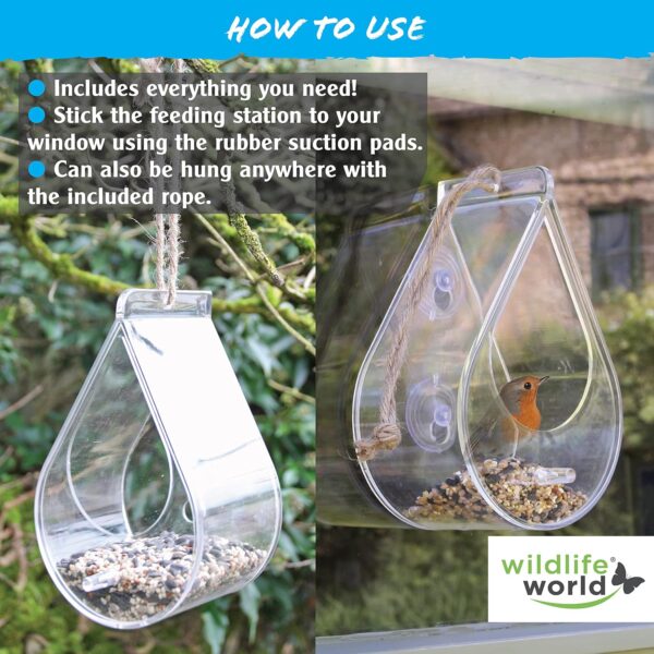 Wildlife World Dewdrop Clear Window Bird Feeder with Feeding Tray - Image 5
