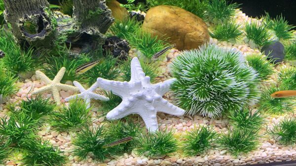 BEGONDIS Artificial Green Water Plants, Starfish Ornament Set, Fish Tank Aquarium Decorations, Made of Soft Plastic (starfish plant set 1) - Image 6
