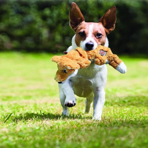 KONG - Scrunch Knots Fox - Internal Knotted Ropes and Minimal Stuffing for Less Mess - For Small/Medium Dogs - Image 2
