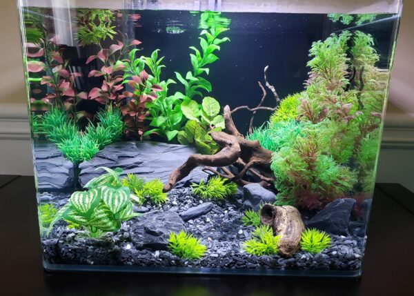 Natural Black Slate - 3 to 5 Inches Stones. for Aquascaping Aquariums, Terrariums, Paludariums, Nano Tanks, Reptile Enclosures and Miniature Gardens | USA Family Owned (12 pounds) - Image 5