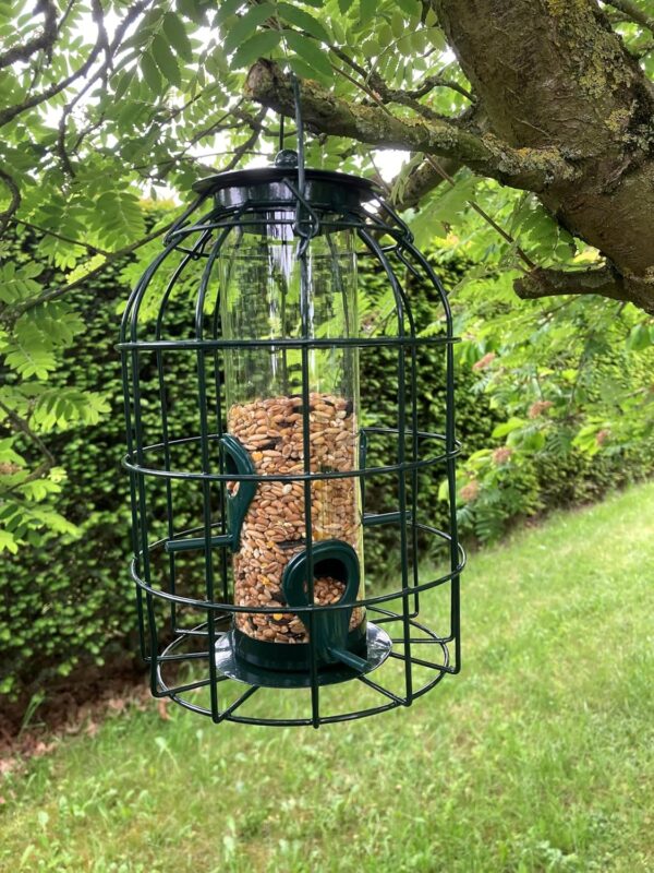 Oakdale Squirrel Resistant Seed Bird Feeder - Image 3