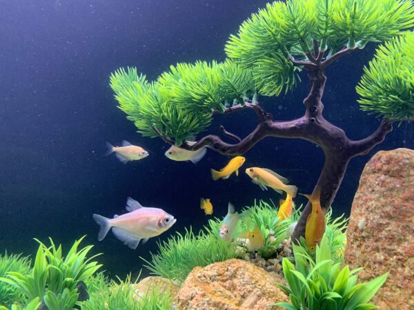 BEGONDIS Artificial Aquarium Green Water Plants Tree Set 25 Pcs, Fish Tank Aquarium Decorations (Set 1) - Image 4