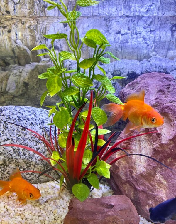 Tyrol - Artificial Aquarium Plant - Aquarium Decoration - Plastic Plant on Base - Lotus Indoor Plant - Easy Anchor at the Bottom of the Aquarium - Made in France - Image 3