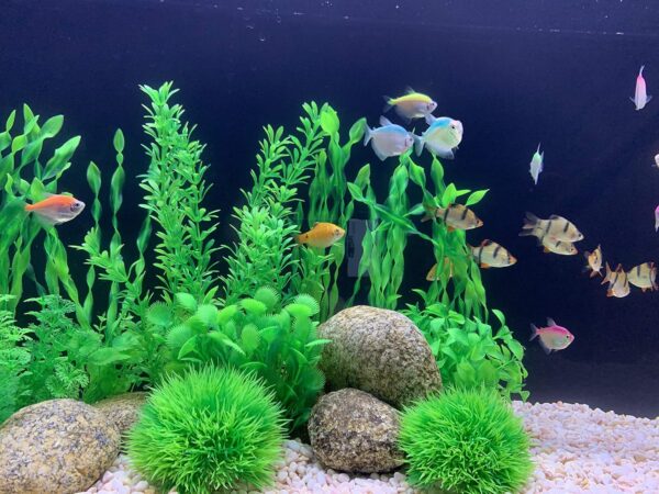 BEGONDIS 18 Pcs Artificial Green Water Plants, Fish Tank Aquarium Decorations, Made of Soft Plastic - Image 3