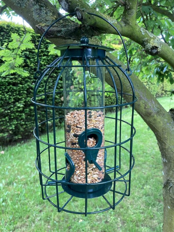 Oakdale Squirrel Resistant Seed Bird Feeder - Image 2