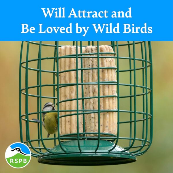 lavera Suet Logs for Wild Birds - with Mealworms for Extra Taste and Nutrition, High in Energy and Protein, Ridged for Better Grip, Great for Suet Feeders and Bird Tables (8 x 500g) - RSPB - Image 6