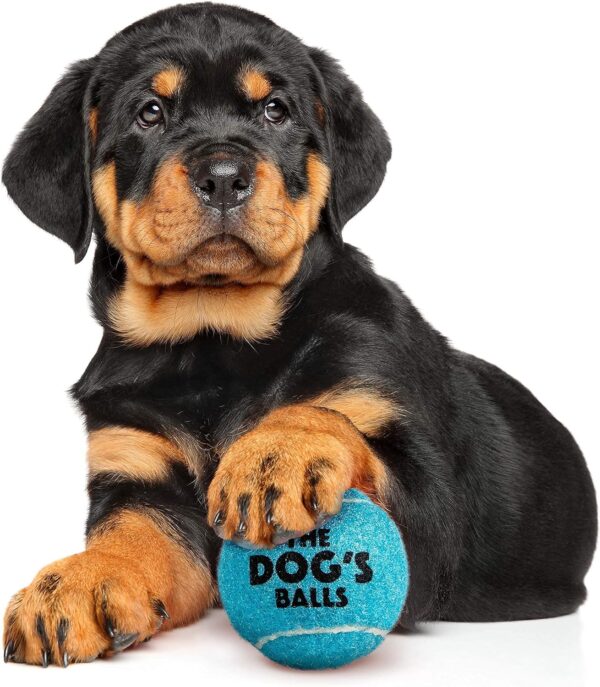The Little Dog's Balls, Dog Tennis Balls, 6-Pack Small Blue Dog Toy, Strong Dog & Puppy Tennis Ball - Image 2