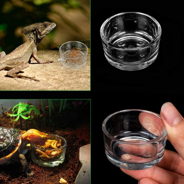 IAFVKAI Reptile Feeding Tongs Crickets Clamp Curved Feeding Tweezers Terrarium Cleaning Tools with Small Water Dish 3 in 1 for Insects Lizard Bearded Dragon Turtle Snake Spider Frog Gecko Chameleon - Image 7