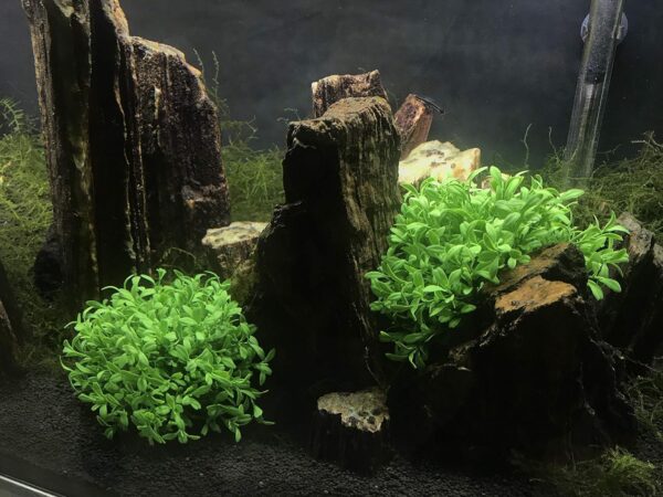 BEGONDIS Aquarium Decorations Fish Tank Artificial Green Water Plants Made of Soft Plastic, Good for All Fish & Pets (g5) - Image 3