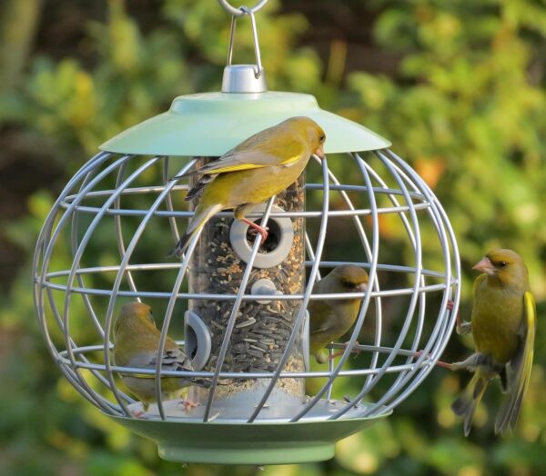 The Nuttery HELD04 Helix Seed Squirrel Proof Bird Feeder, Celadon Green - Image 2