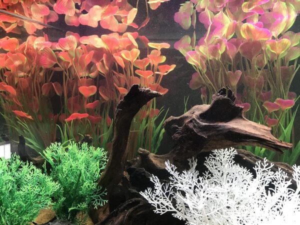 BEGONDIS 2 Pcs Artificial Water Plants, Fish Tank Aquarium Decorations, Made of Soft Plastic, Good for All Fish & Pets (Large Plant - Brown) - Image 3