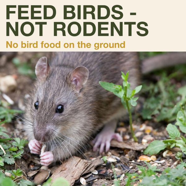 Smart Bird Feeder Davos | Hanging No Mess Station | Rat and Rodent Proof | Robin, Niger Seed Tray Catcher | Robust and Reliable | Dual food chambers | Green - Image 4