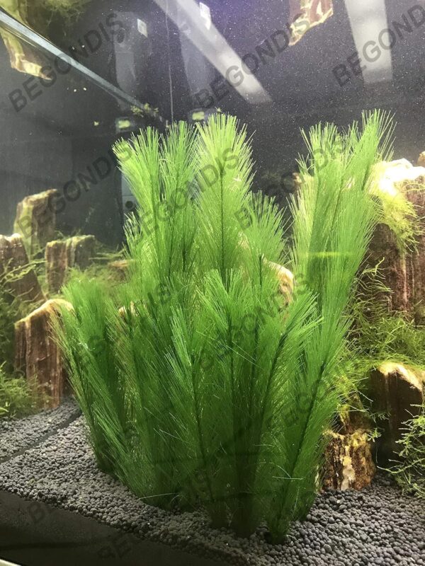 BEGONDIS 3PCS Aquarium Decorations Fish Tank 30CM/11 Artificial Green Water Plants - Image 2