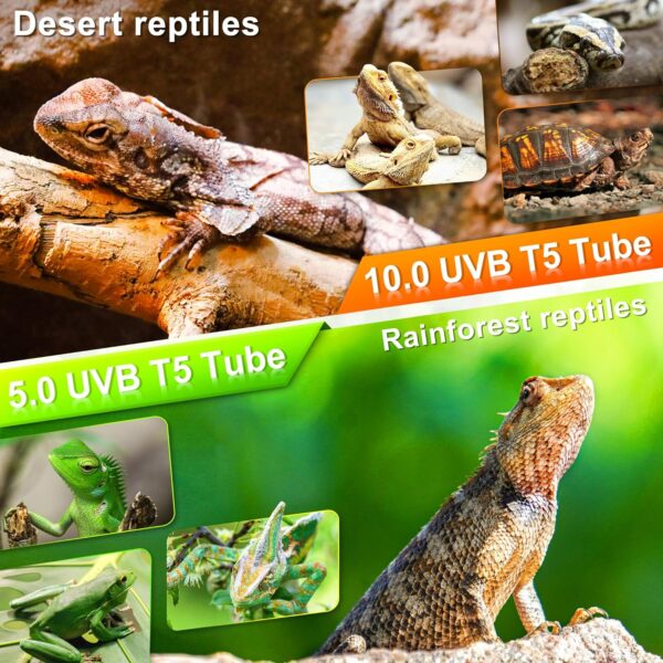 NEPTONION T5 HO UVB Reptile Light Hood, 21W Reptile Terrarium Hood with UVB 10.0 Fluorescent Lamp Tube, Suitable for Desert Reptiles(21W,35 Inches) - Image 6