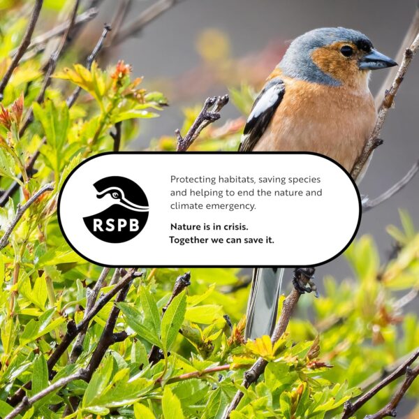 RSPB 9 inch Hanging Classic Peanut Feeder, Supporting the RSPB Charity, Easy Clean for Garden & Outdoor use - Image 5
