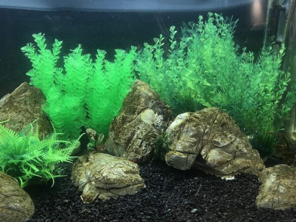 BEGONDIS 2Pcs Aquarium Decorations Fish Tank Artificial Green Water Plants Made of Soft Plastic - Image 5