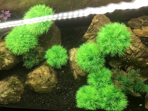 BEGONDIS Aquarium Decorations 4Pcs Green Grass Ball Water Plants, Artificial Fish Tank Decor, Made of Soft Plastic, Good for All Fish & Pets - Image 2