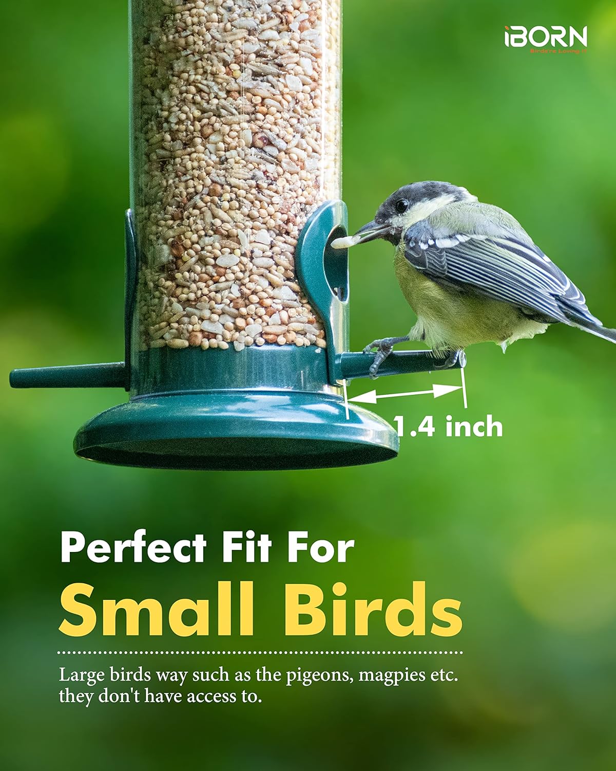 iBorn Metal Bird Feeders Hanging Bird Feeder For Small Birds for Garden Outdoors,Set of 2 Seed Feeder All Metal Painted Rust-resistant, Green - Image 3