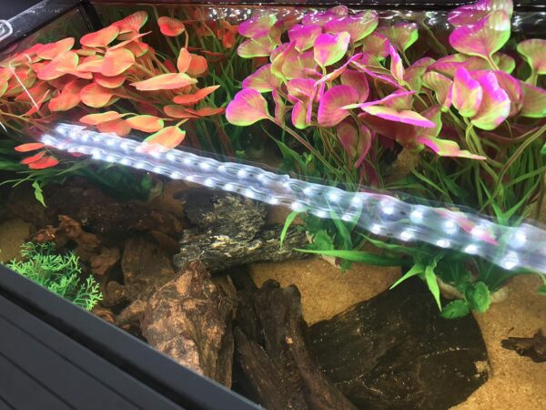 BEGONDIS 2 Pcs Artificial Water Plants, Fish Tank Aquarium Decorations, Made of Soft Plastic, Good for All Fish & Pets (Large Plant - Brown) - Image 4