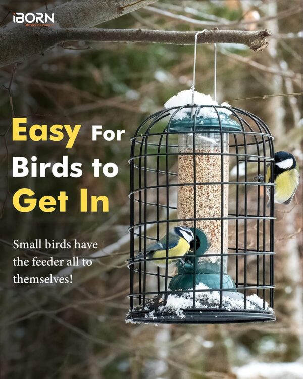 iBorn Squirrel Proof Bird Feeder with Squirrel, Pestoff Hanging Wild Bird Seed Feeder for Mix Seed Blends, Sunflower Heart, Birdbath, Heavy Duty All Metal Anti-UV Finishing, Green 8 Inch - Image 5