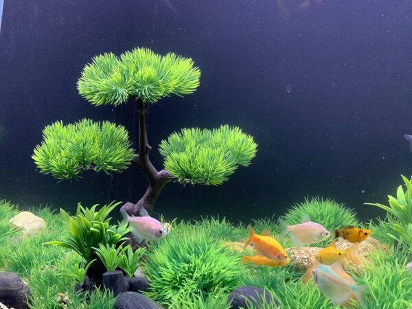 BEGONDIS Artificial Aquarium Green Water Plants Tree Set 25 Pcs, Fish Tank Aquarium Decorations (Set 1) - Image 6