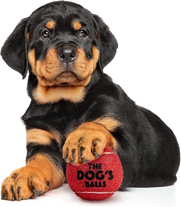 The Little Dog's Balls, Dog Tennis Balls, 6-Pack Small Red Dog Toy, Strong Dog & Puppy Tennis Ball - Image 2