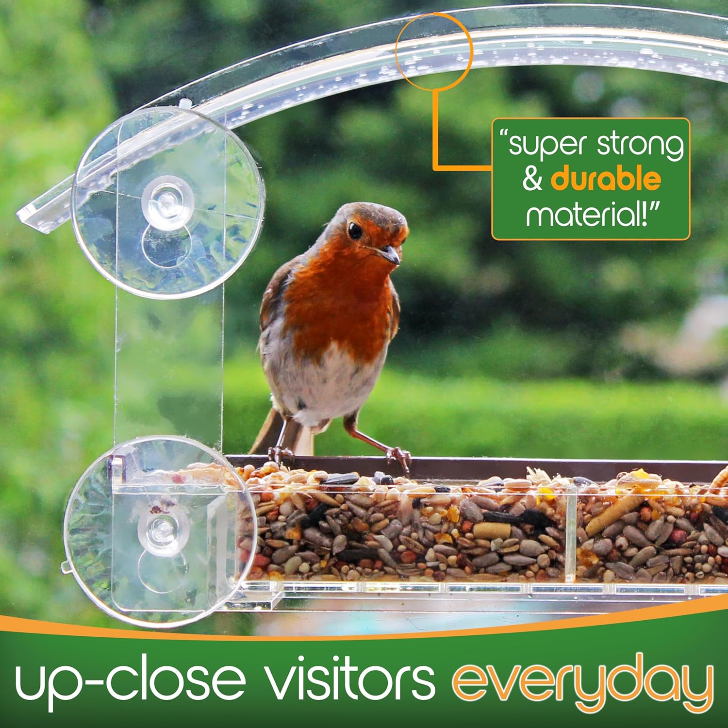 Window Bird Feeder with Strong Suction Cups - HOMEBIRD Window Bird Feeder UK with Removable Seed Tray For Bird Watching Bird Feeders for Small Birds Squirrel Proof Bird Feeder Window - Image 4