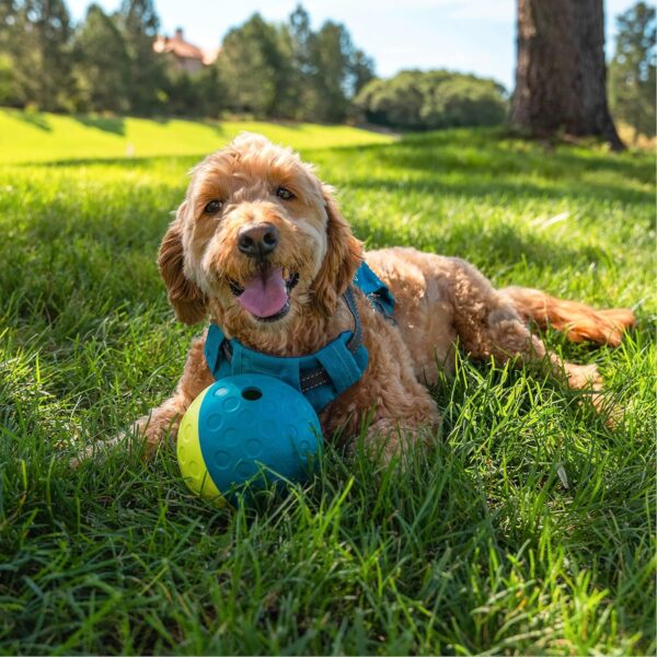Outward Hound Nina Ottosson Treat Tumble Blue Interactive Treat-Dispensing Puzzle Dog Toy, Small - Image 5