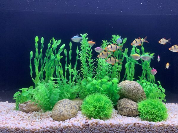 BEGONDIS 18 Pcs Artificial Green Water Plants, Fish Tank Aquarium Decorations, Made of Soft Plastic - Image 2