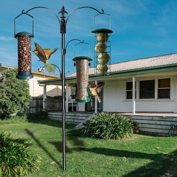Home-Ed Hanging Bird Feeders for Small Birds Pack of 3 - Wild Bird Seed Feeder - Multiple Size Feeders, Premium Quality & Sleek Design - Bird Feeder Station - Image 9