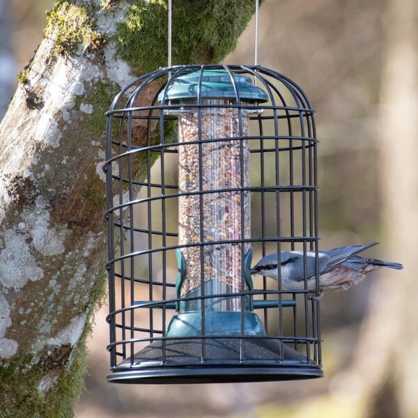 iBorn Squirrel Proof Bird Feeder with Squirrel, Pestoff Hanging Wild Bird Seed Feeder for Mix Seed Blends, Sunflower Heart, Birdbath, Heavy Duty All Metal Anti-UV Finishing, Green 8 Inch - Image 9