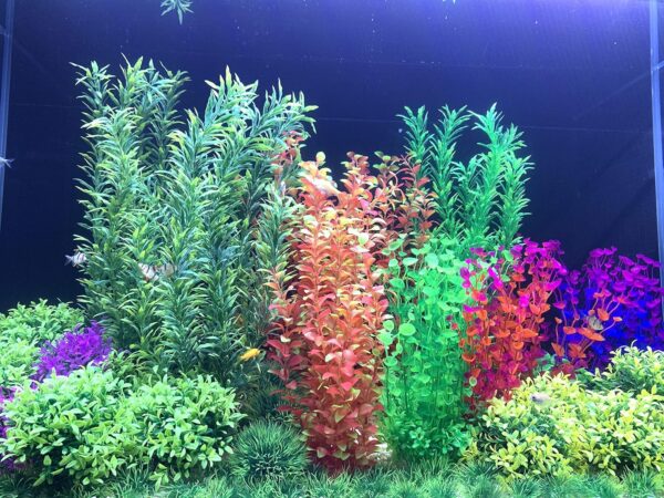 BEGONDIS 2 Pcs Artificial Water Plants, Fish Tank Aquarium Decorations, Made of Soft Plastic, Good for All Fish & Pets (Set 1) - Image 4
