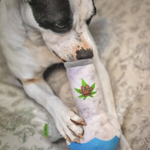 Nestpark Puppy Chiefer 3000 - Funny Dog Toys - Plush Squeaky Weed for Medium, Small and Large - Cute Dog Gifts for Dog Birthday - Cool Stuffed Dog Toys - Image 4