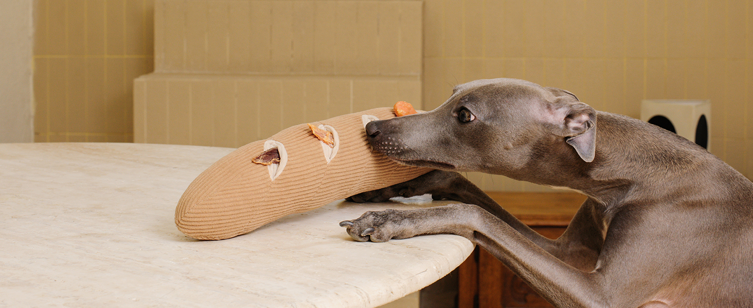 baguette dog toy