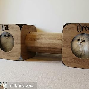 Milk and Oreo pod mod