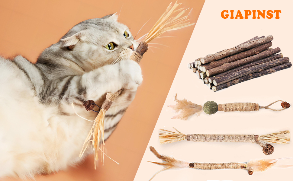 Catnip Sticks For Cats