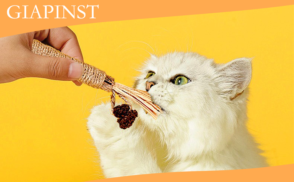 Cat Catnip Toys For Indoor Cats
