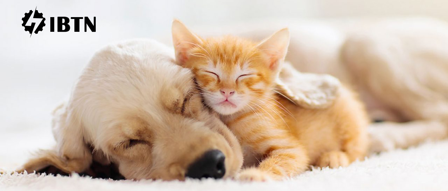 pet