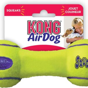 KONG Air Dog Squeaker Dumbbell Dog Toy - Small