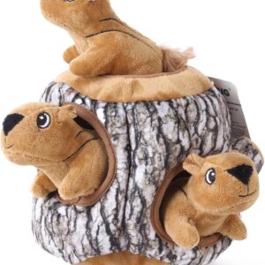 Laifug Hidden Squirrel Plush Dog Toy， Interactive Squeaky Dog Toy Hide and Seek, L