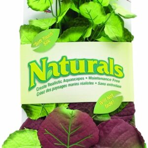 Marina Natural Pennywort Silk Plant, Large, 33 x 35.5 cm