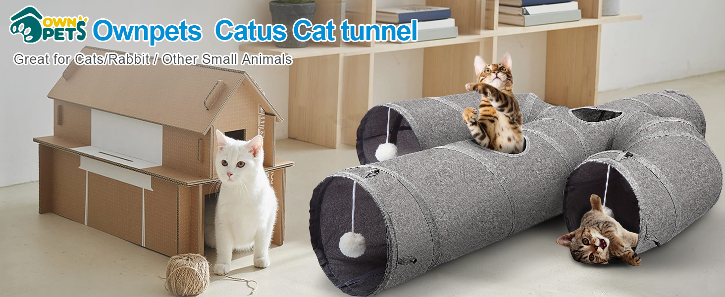 cat tubes and tunnels