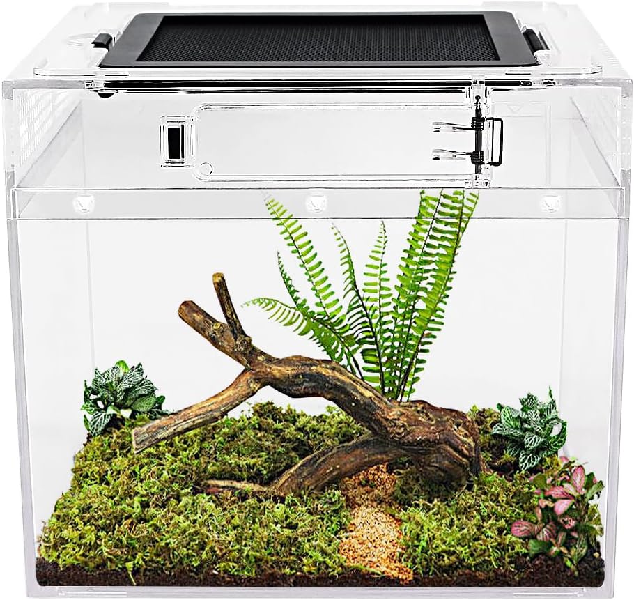 Reptile Growth Mini reptile tank（PC）,8" x 8"x 8" vivarium with Top Sliding Door Screen Ventilation for Small Fish,Insect,Snail,Gecko，Tarantula,Bearded Dragon,Jumping Spider,Stick Insect