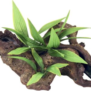 Rosewood Mopani Wood with Plants Aquarium Decor, Small