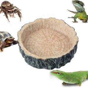 Saim Small Crawler Pet Feeding Round bowl Food Water Non-toxic Resin Dish Suitable for Reptile Turtle Tortoise Scorpion Lizard Crabs Pets Supplies