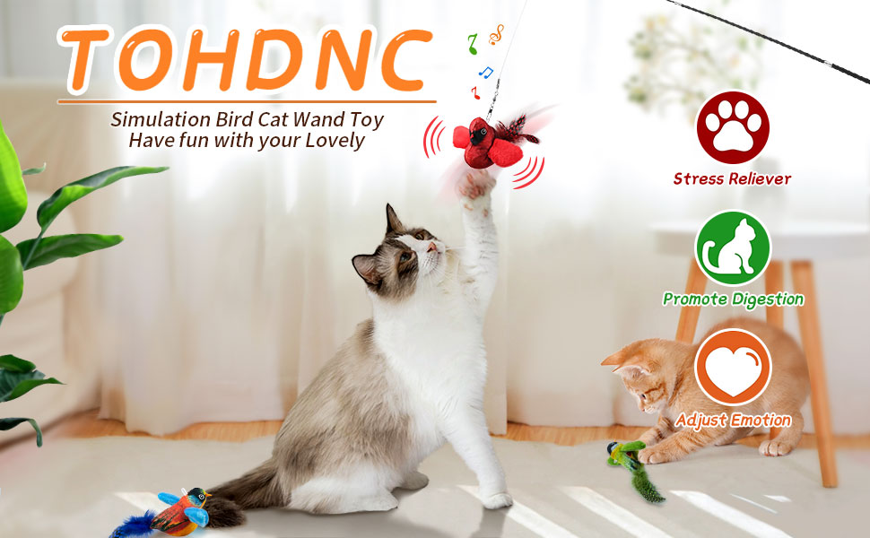 catnip toys