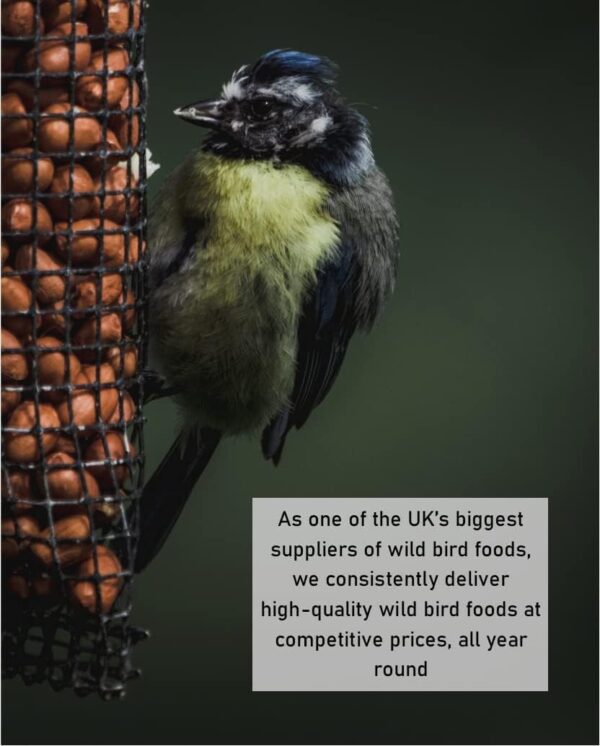 *NEW* Flip Top Peanut Feeder Tall x 1 Plastic Wild Bird Feederr SMF - Image 2